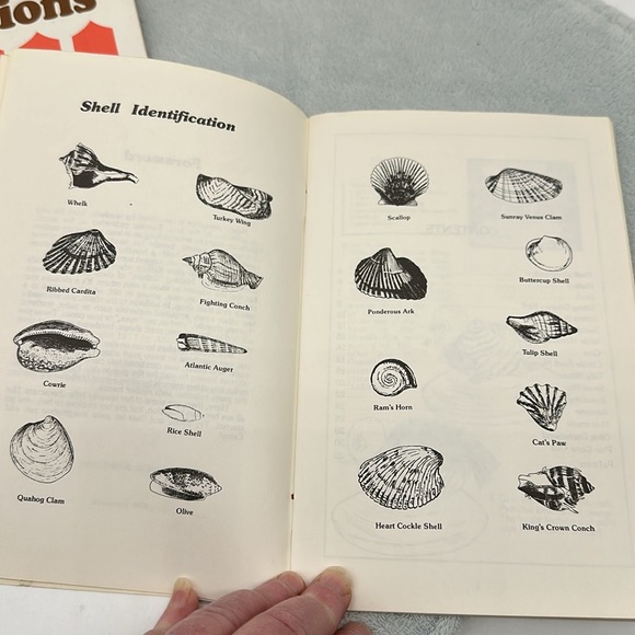 Craft Lot-Shell Craft Creations & Critters 1977 & 1981 & Two Other Books - Picture 10 of 17